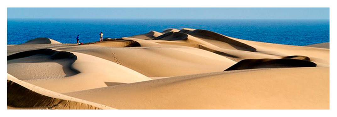 Dunas-villa-gran-canarias