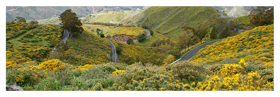 Moverse-coche-villa-gran-canaria