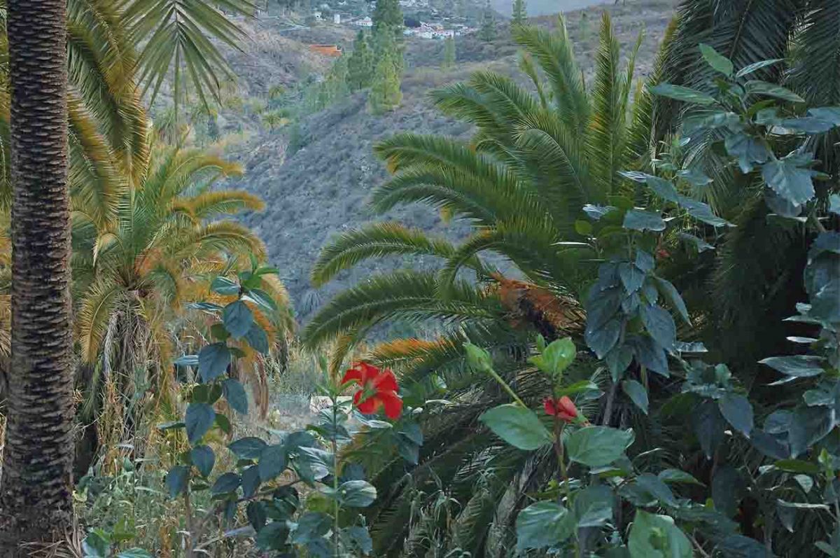 Wo liegt Gran Canaria? Geographische Informationen über die Insel