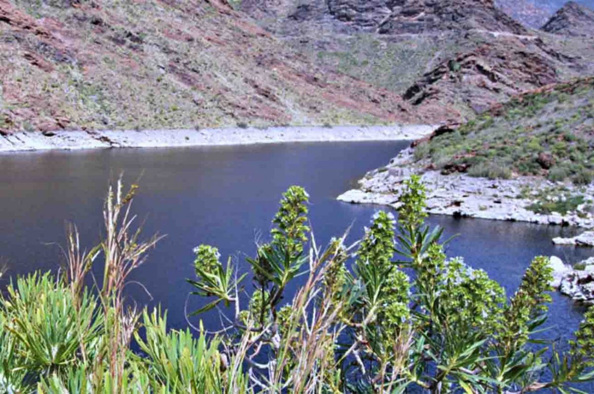 Top 10 excursions to do in Gran Canaria