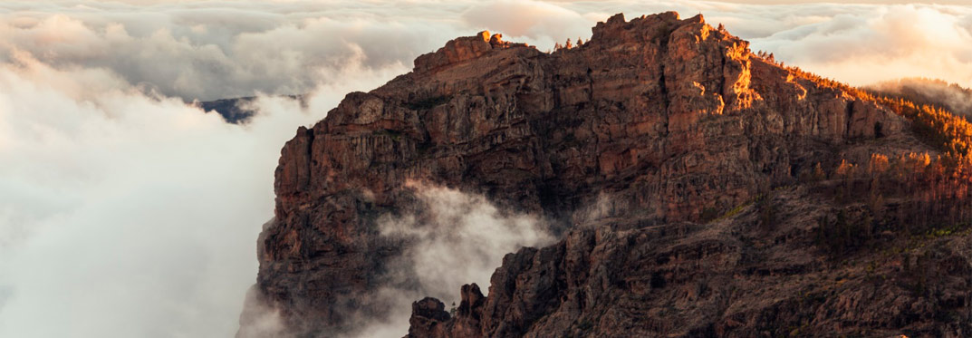 roque nublo