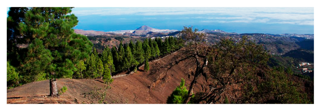 Senderismo-villa-gran-canaria