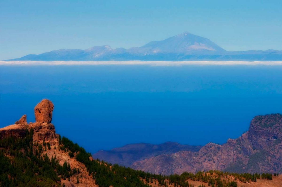 The best Canary Island year round