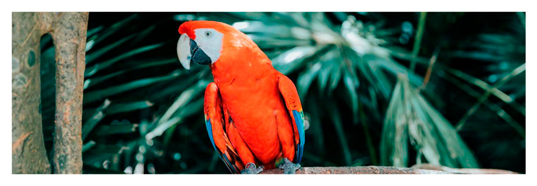 flora und fauna