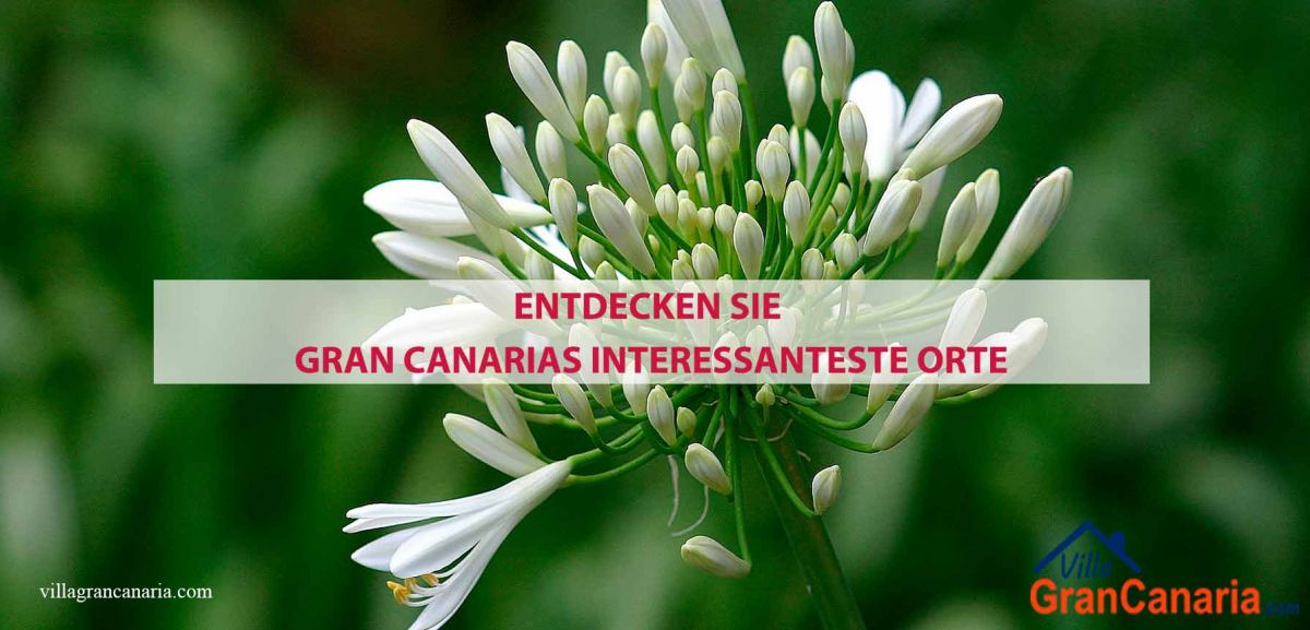 Gran canaria interessante orte