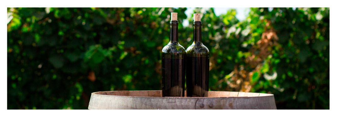 Unique-wine-villa-gran-canaria