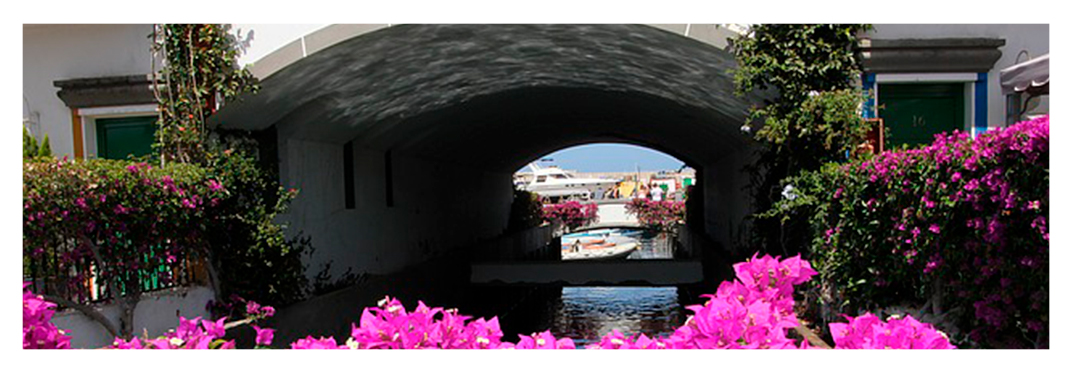 Canales-villa-gran-canarias