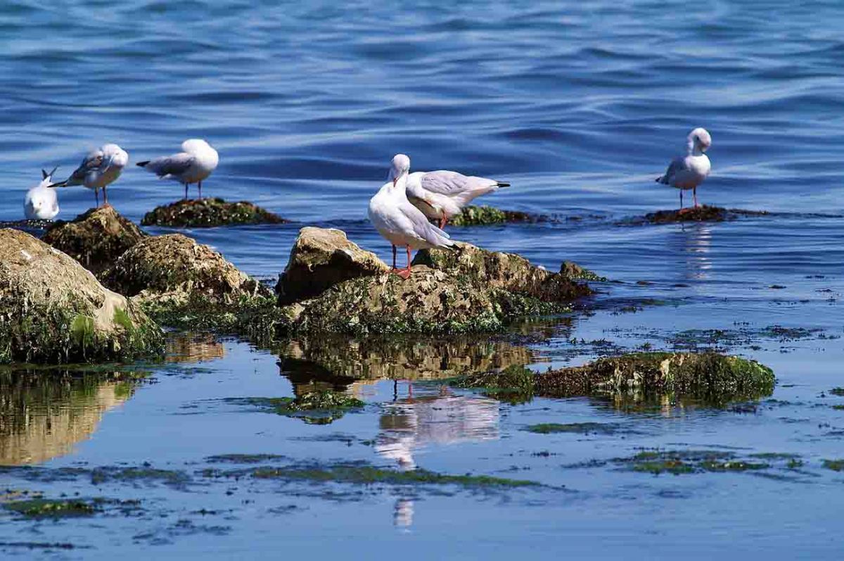 What to see in Gran Canaria? The paradise of Spain