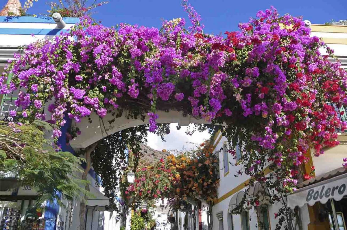 2 Things to do during your October holiday on Gran Canaria