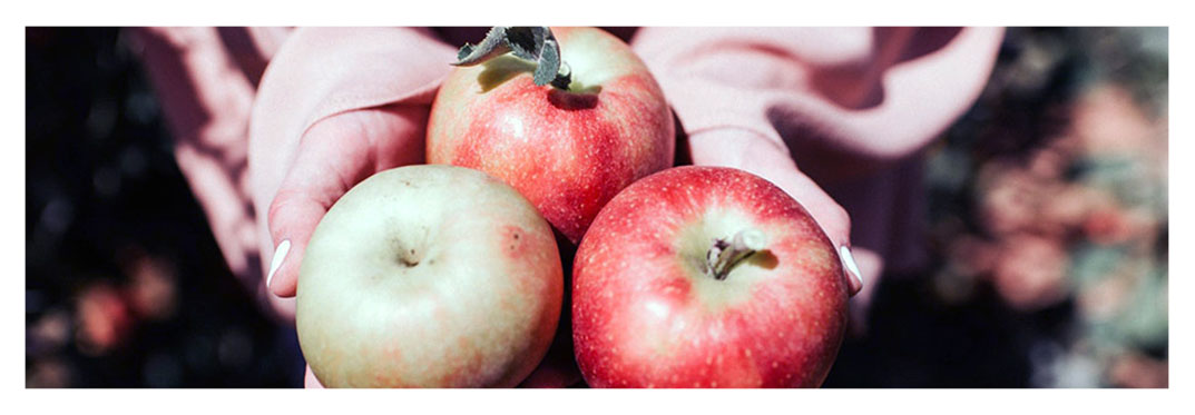 Fiesta-de-la-Manzana