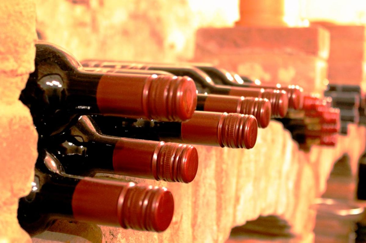 The best wine routes in Gran Canaria