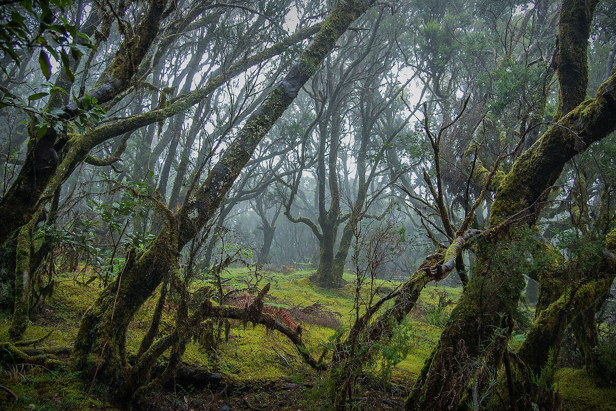 romantic weekend excursions canary islands