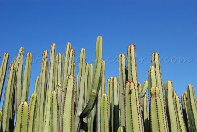 Entorno