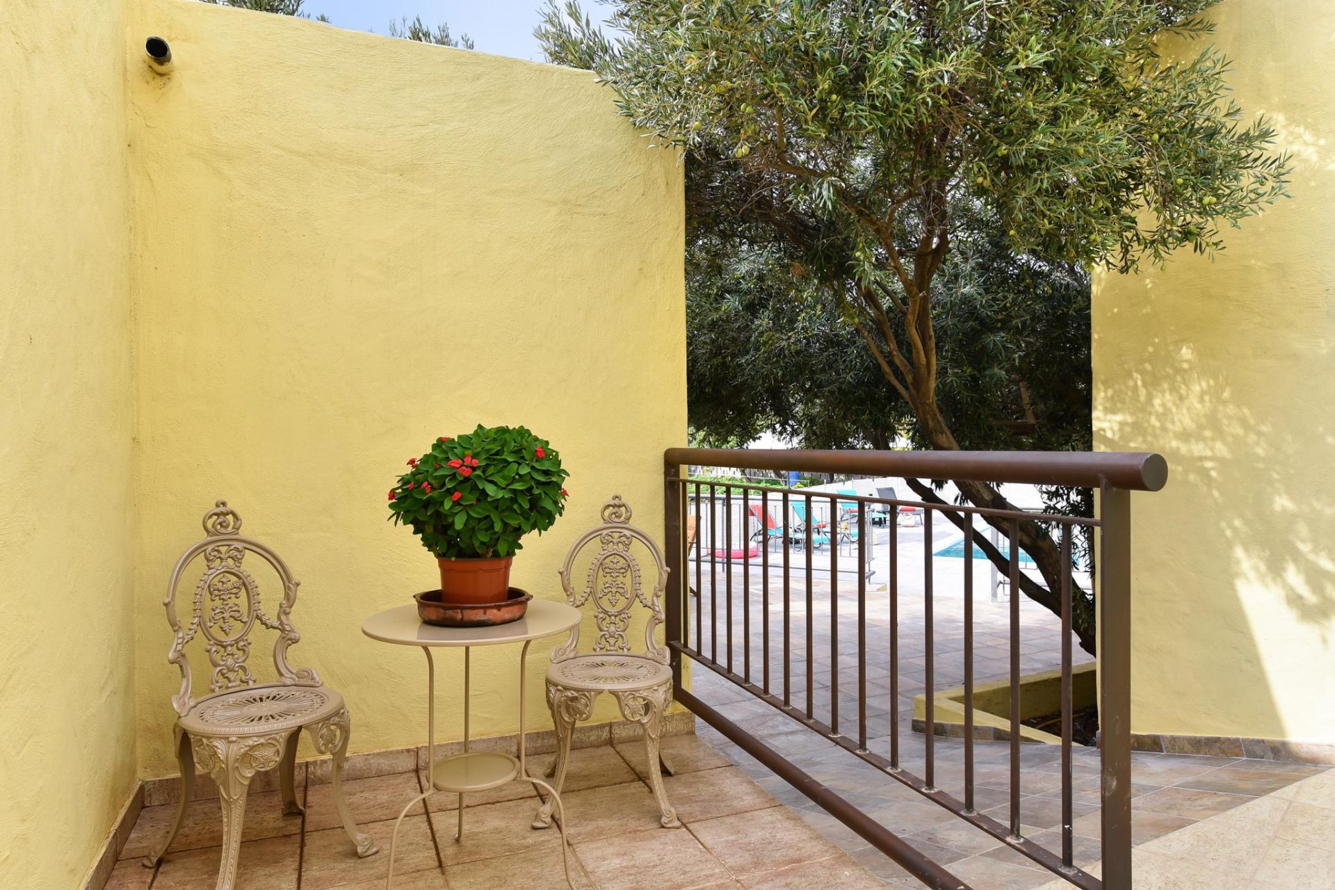 Finca Algodones Ingenio