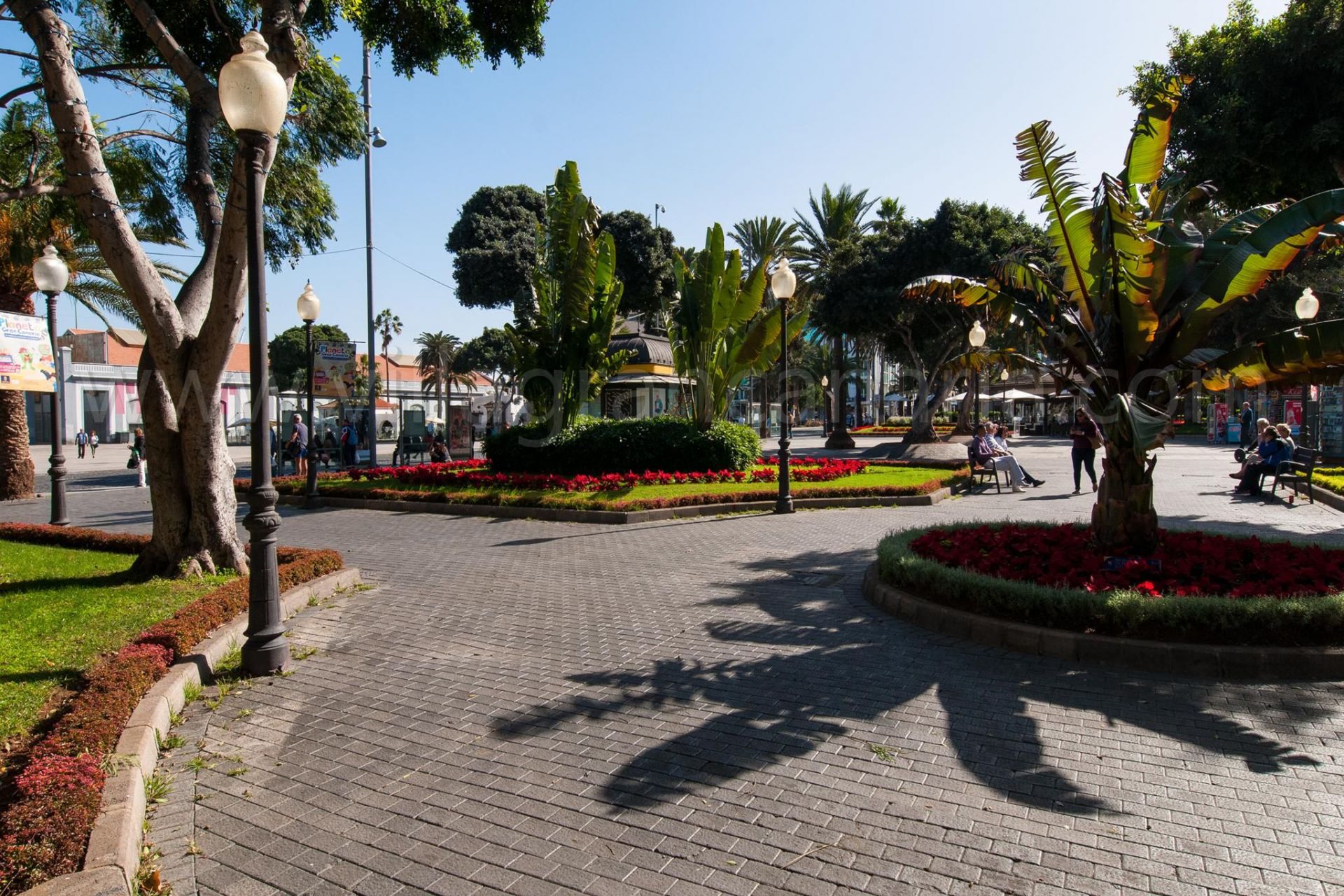 Canteras City Apartments ALOE