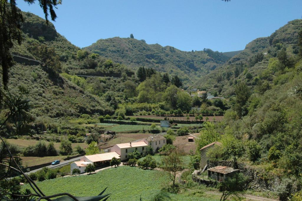 Barranco de la Virgen: hiking, flora and fauna