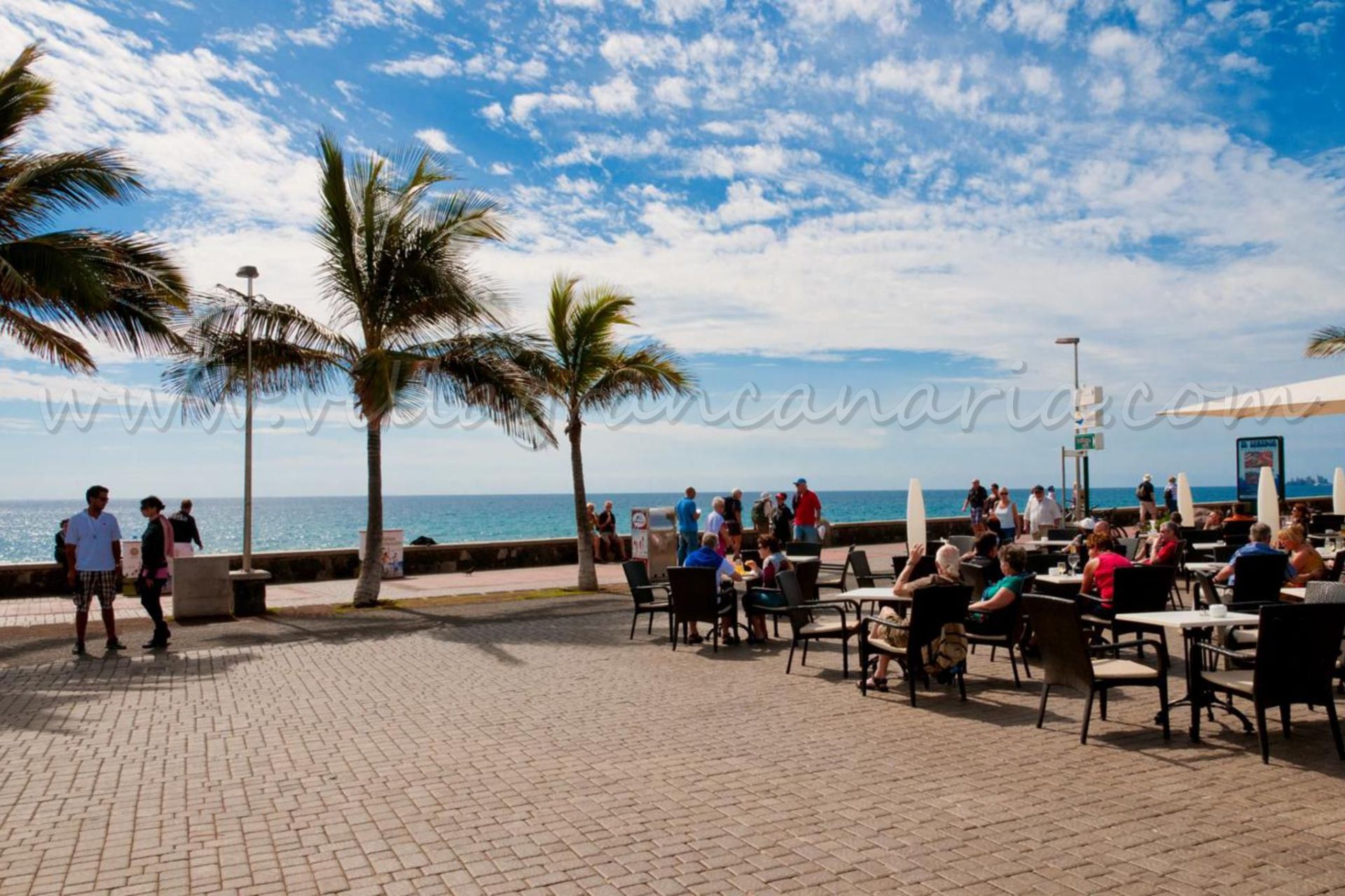 Apartamento de Lujo Charca III