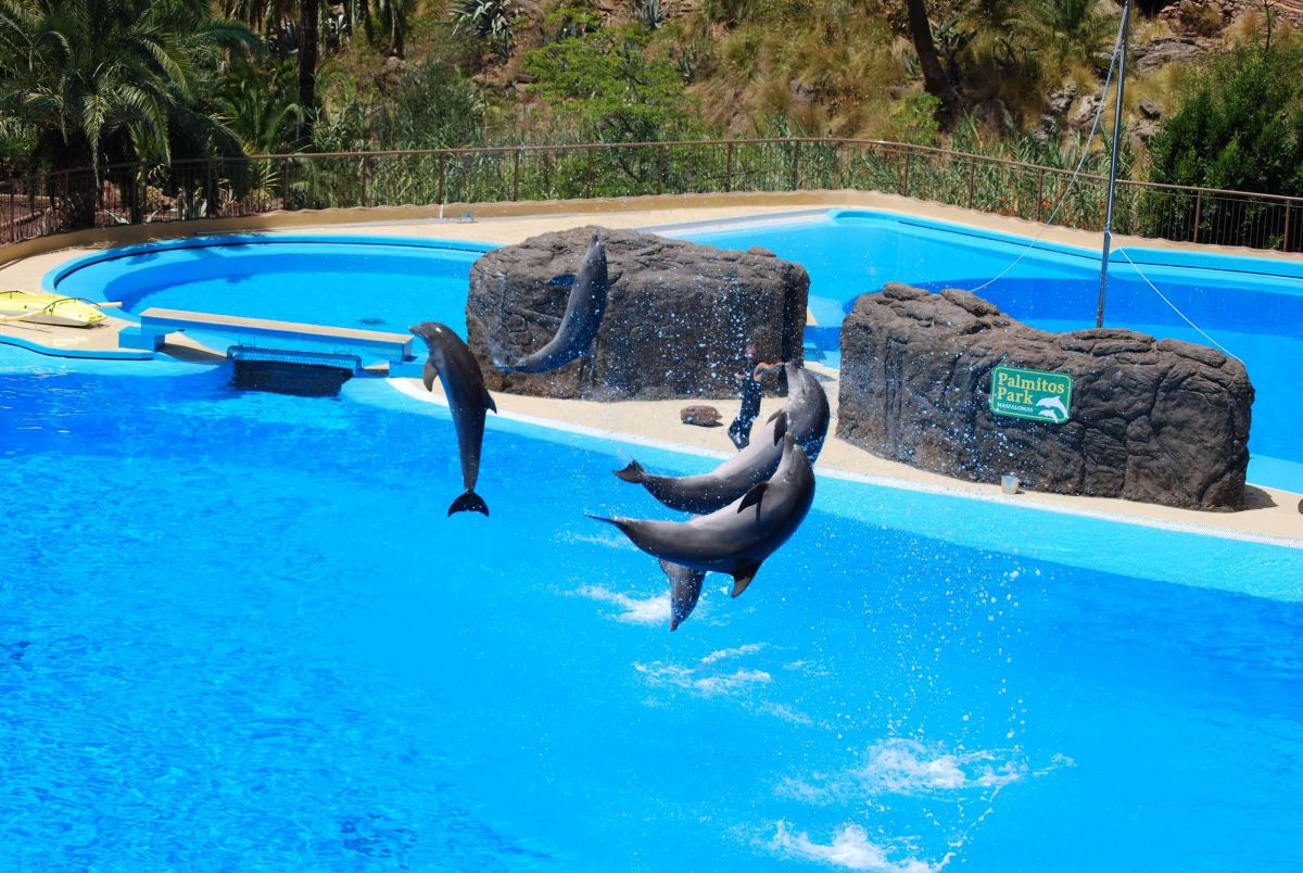 Palmitos Park Maspalomas: el zoo de Gran Canaria