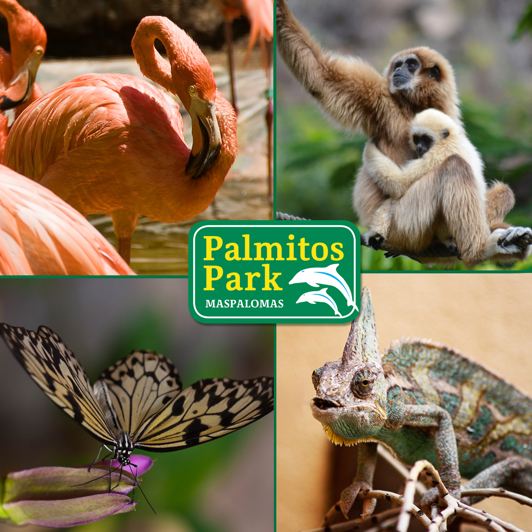 Palmitos Park Maspalomas Gran Canaria