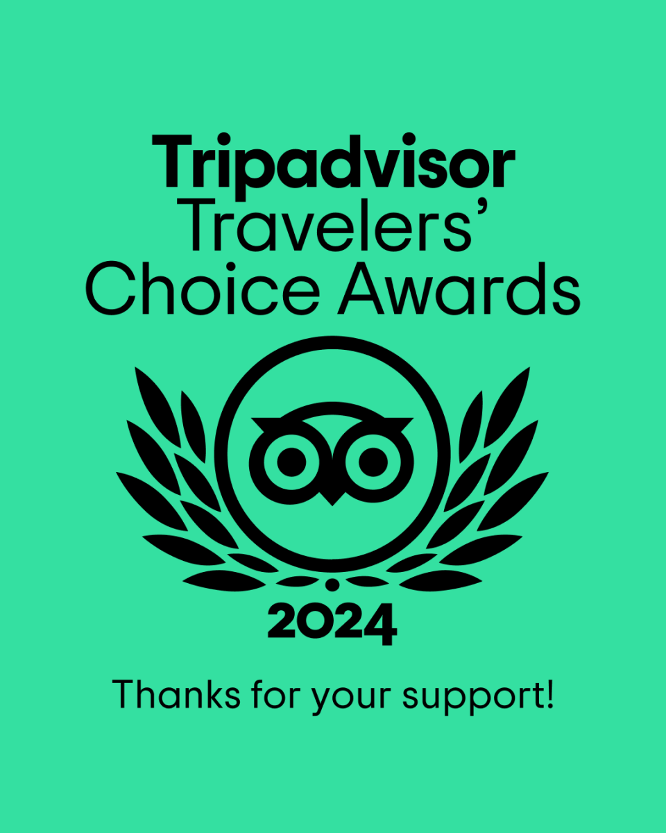 VillaGranCanaria receives Travellers' Choice 2024 award from Tripadvisor