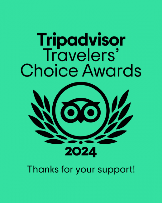 tripadvisor travelers choice awards