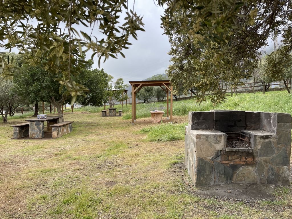 mesas de pícnic y zona de barbacoa en el troncón