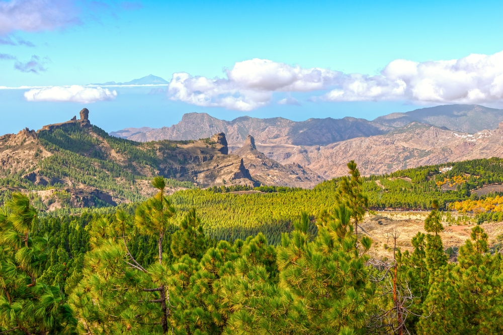 roque nublo views and green landscape