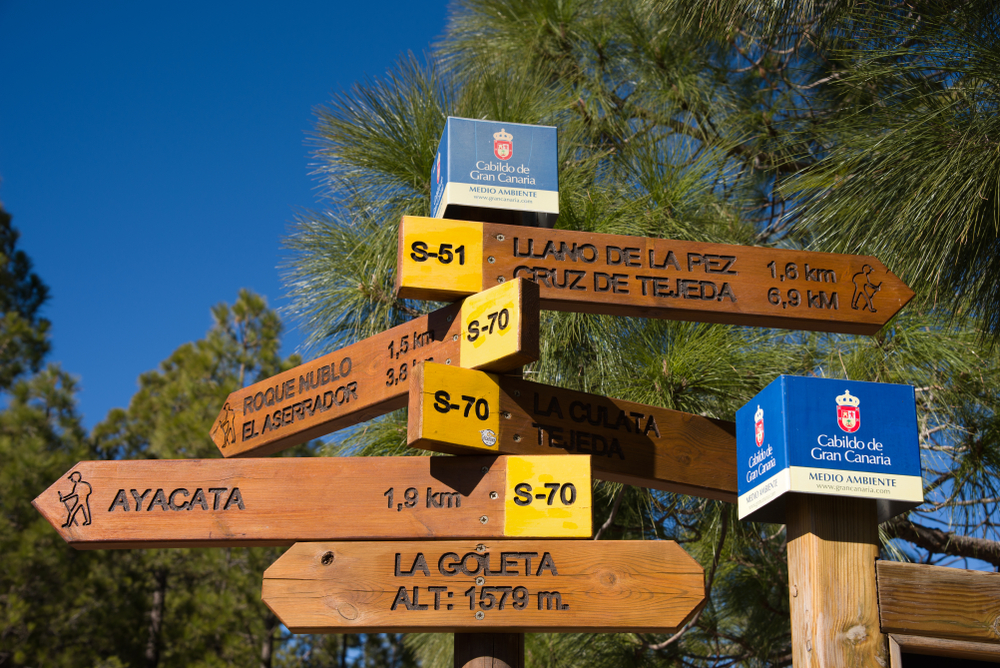 hiking paths in the peaks of gran canaria