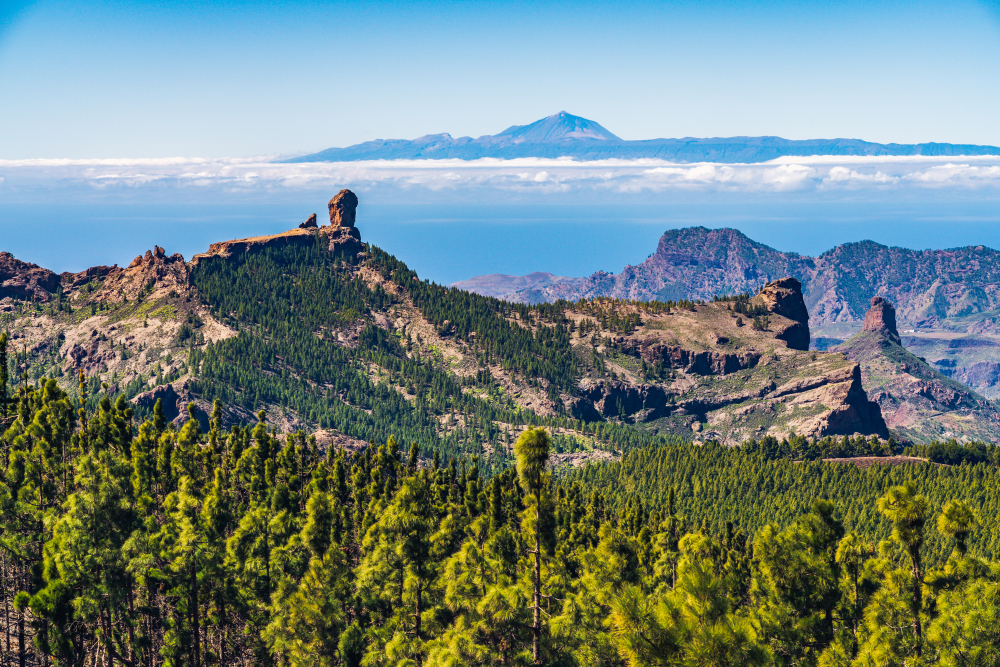 gran canaria views on the teide and roque nublo