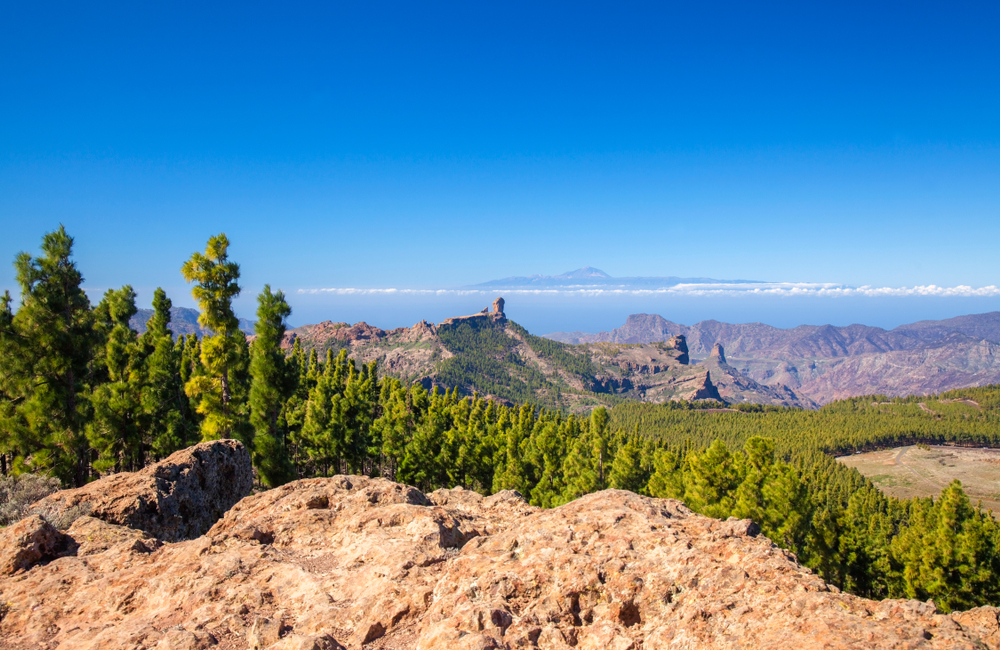 Discover what to do in Gran Canaria during winter