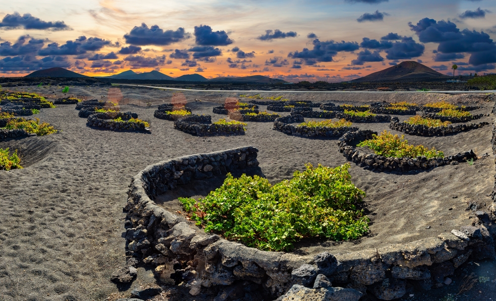 wine-growing region of La Geria on Lanzarote