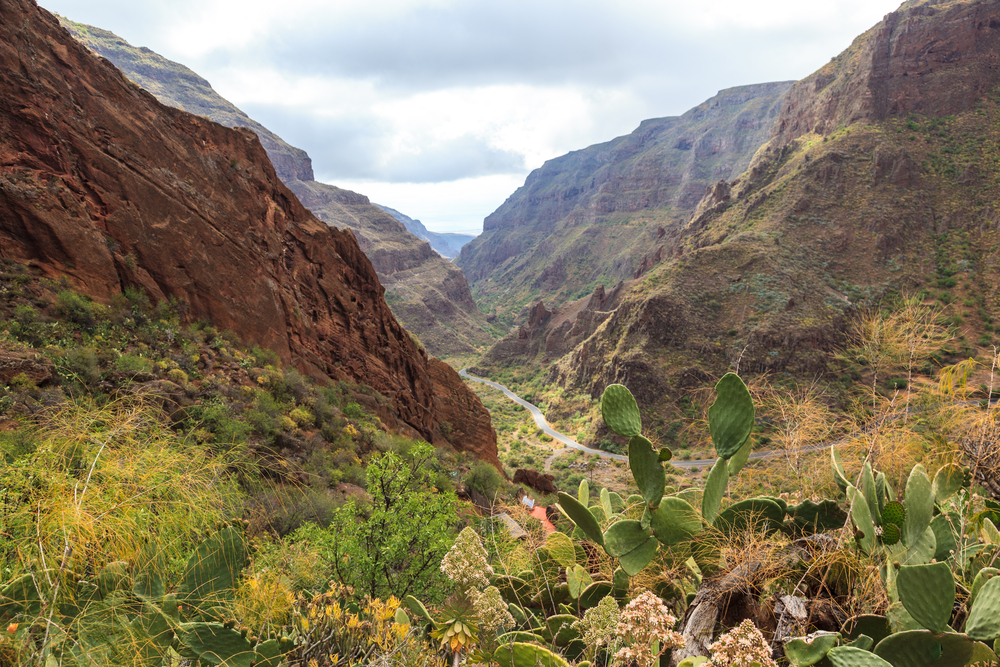 Barranco de Guayadeque, where hiking and eating in caves is possible