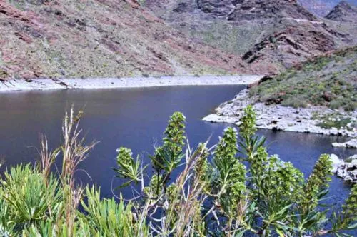 Top 10 hikes to do in Gran Canaria