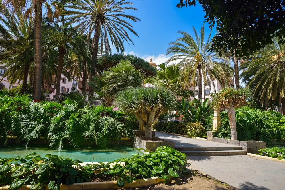 Doramas Park In Gran Canaria | VillaGranCanaria